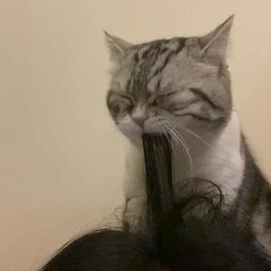 张柏芝裸被❌无码
